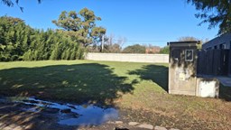 Lote Brujas Pilar