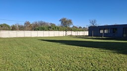 Lote Brujas Pilar