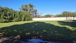 Lote Brujas Pilar