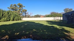 Lote Brujas Pilar