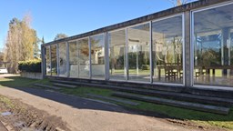 Lote Brujas Pilar