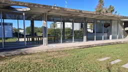 Lote Brujas Pilar