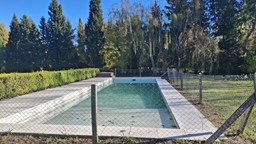 Lote Brujas Pilar