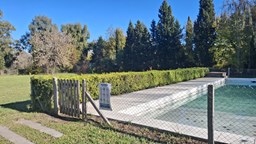 Lote Brujas Pilar