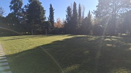 Lote Brujas Pilar
