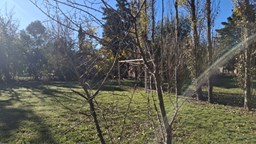 Lote Brujas Pilar