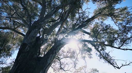 ESTANCIA CARABASSA