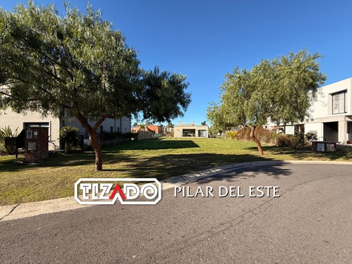 Santa Emilia, Lote 84