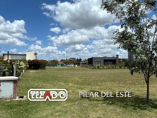 Santa Emilia, Lote 219