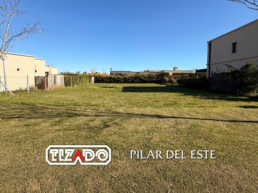 Santa Emilia, Lote 229