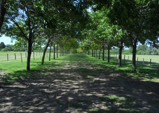 Barrio Parque Glenmor