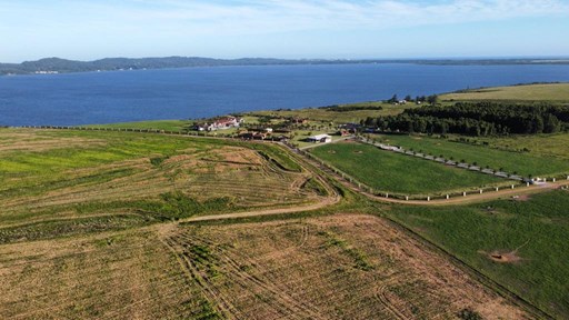 Chacras de La Laguna - Campo