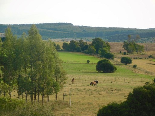 Campo en Pueblo Edén