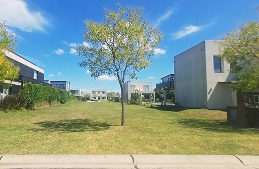 Araucarias. Puertos . Escobar 200