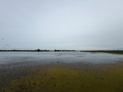 Orillas Puertos, Escobar 100