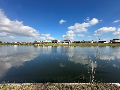 Muelles 0