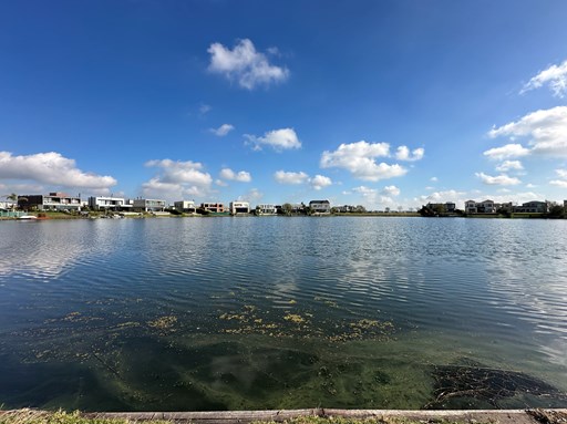 Muelles 200