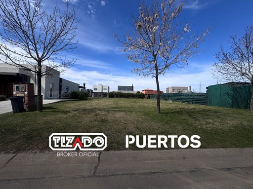 Araucarias - Puertos del Lago 100