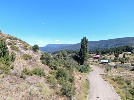 Avenida Los Lagos