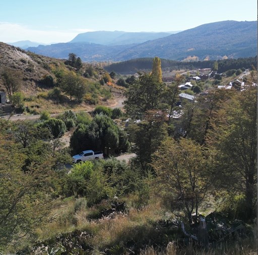 Avenida Los Lagos