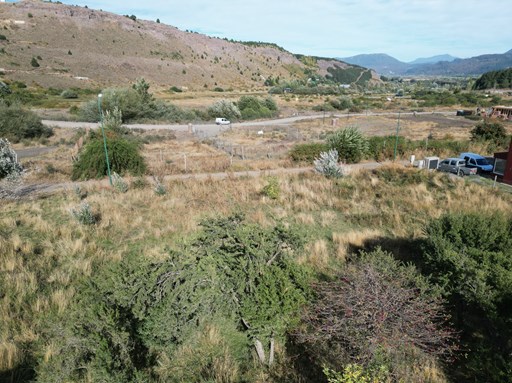 Avenida Los Lagos
