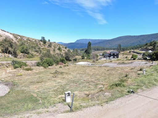 Avenida Los Lagos