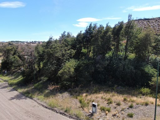 Avenida Los Lagos
