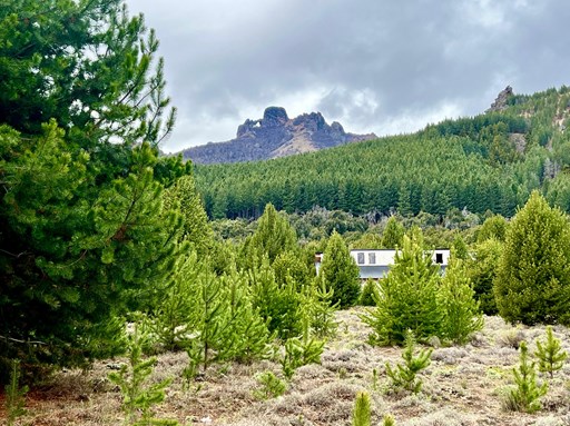 Villa Lago Meliquina