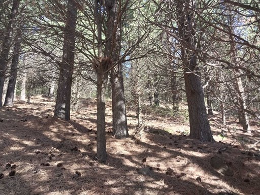 El Desafio Mountain Resort