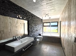 Baño suite ppal