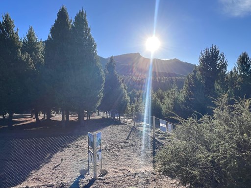 Villa Lago Meliquina