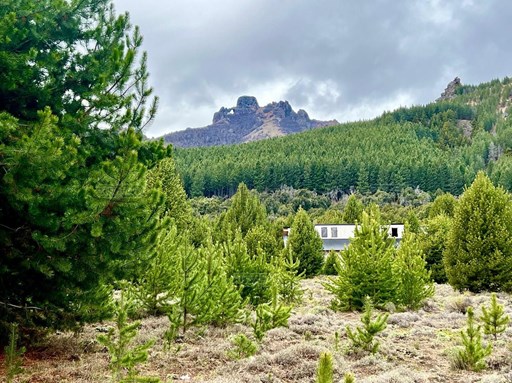 Villa Lago Meliquina