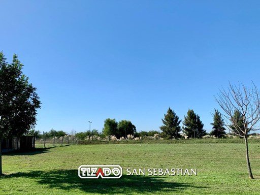 Area 12 Ntra Sra. de la Asuncion
