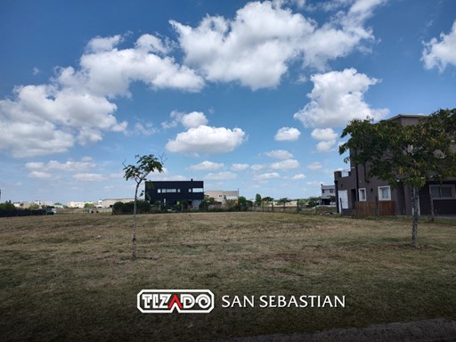Area 6 Nuestra Señora del Loreto