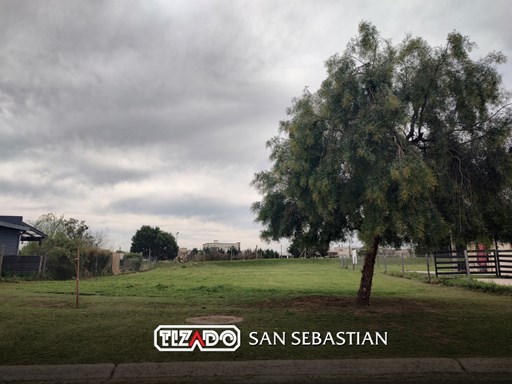 Area 2 Ntra. Señora del Rosario