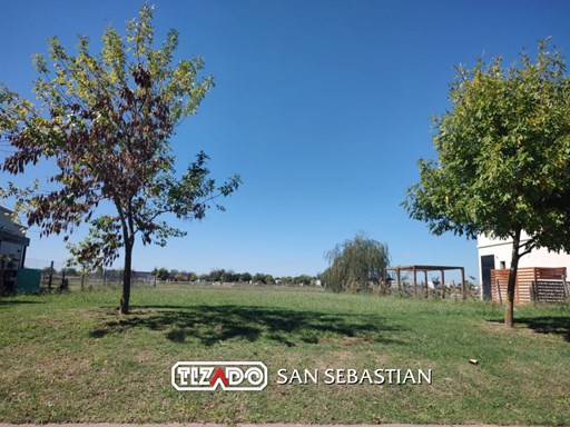 Area 12 Ntra Sra. de la Asuncion