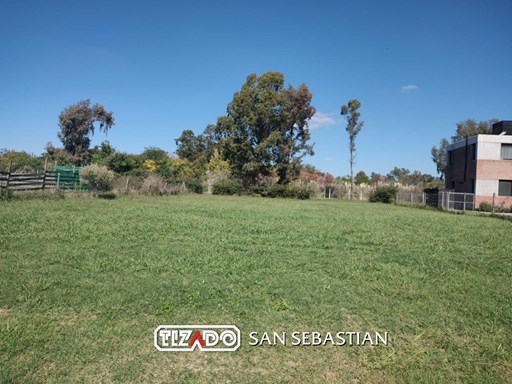 Area 12 Ntra Sra. de la Asuncion