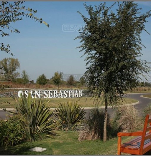Area 13 Ntra Señora del Carmen