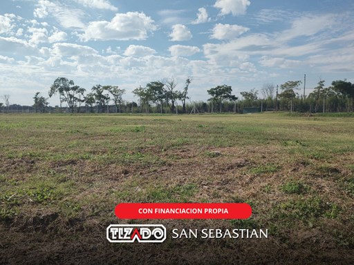Area 13 Ntra Señora del Carmen