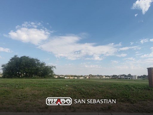 Area 13 Ntra Señora del Carmen