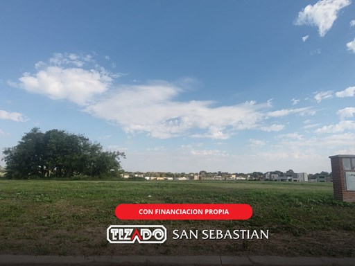 Area 13 Ntra Señora del Carmen