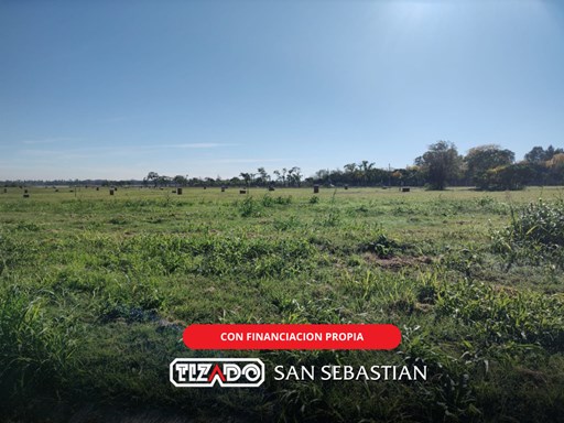 Area 13 Ntra Señora del Carmen