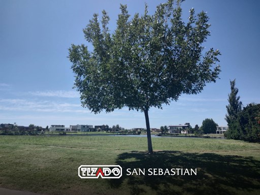Area 9 Nuestra Señora de la Paz