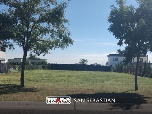 Area 11 Ntra Señora de Lourdes