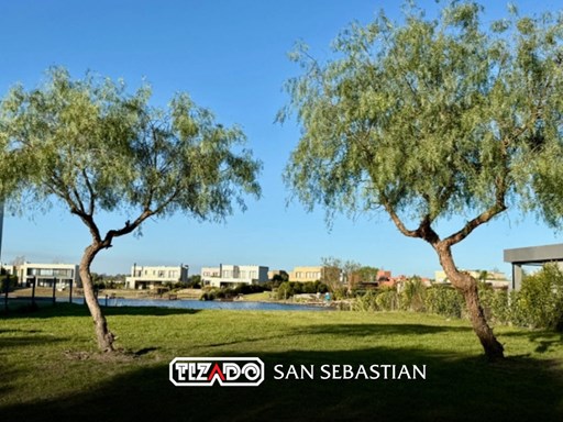 Area 6 Nuestra Señora del Loreto