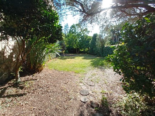 Domingo F Sarmiento 1700