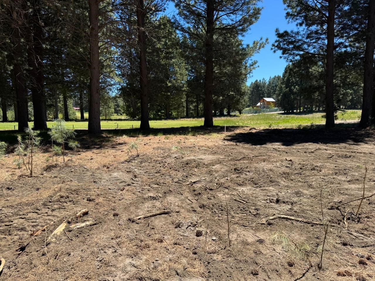 Chapelco Golf  & Resort 0