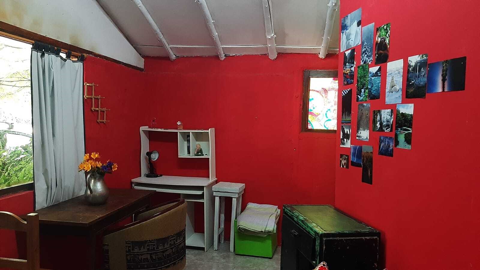 Yareta 0