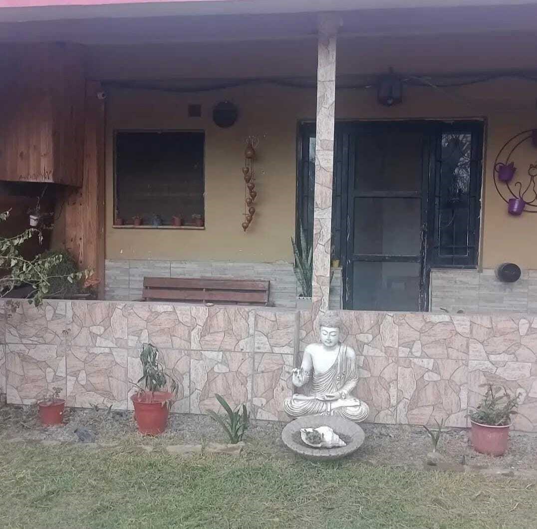 PIÑEIRO 200