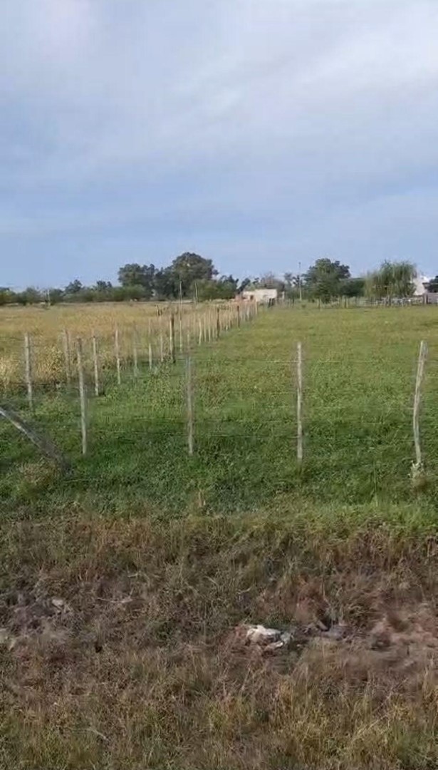 JT. Venta Lote ubicado en Smith Carlos Casares